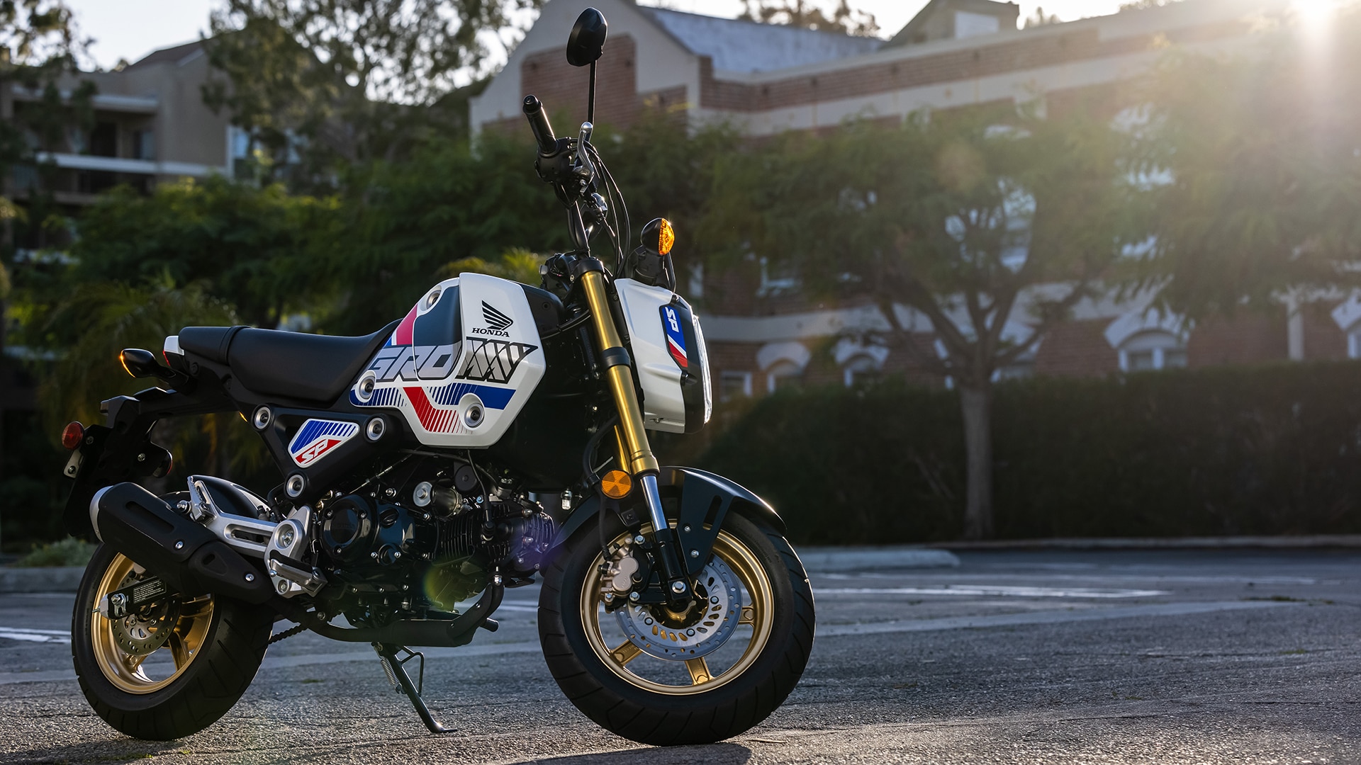 Grom Your Naked Bike Your Street Bike