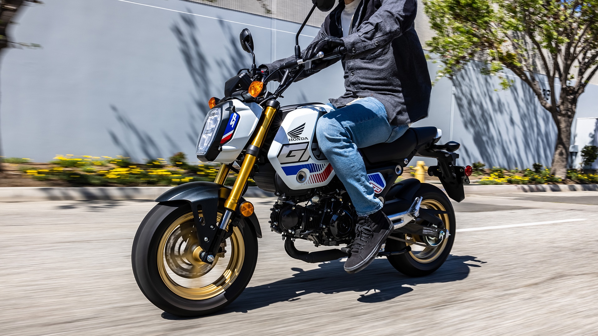 GROM > Your Naked Bike, Your Street Bike